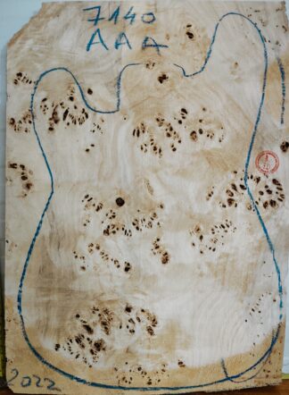 Electric Guitar No.7140 Top