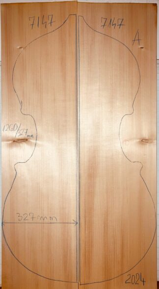 double bass spruce top