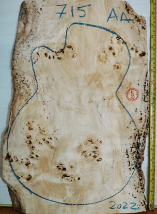 Electric Guitar No.715 Top