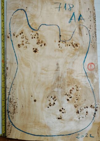 Electric Guitar No.718 Top