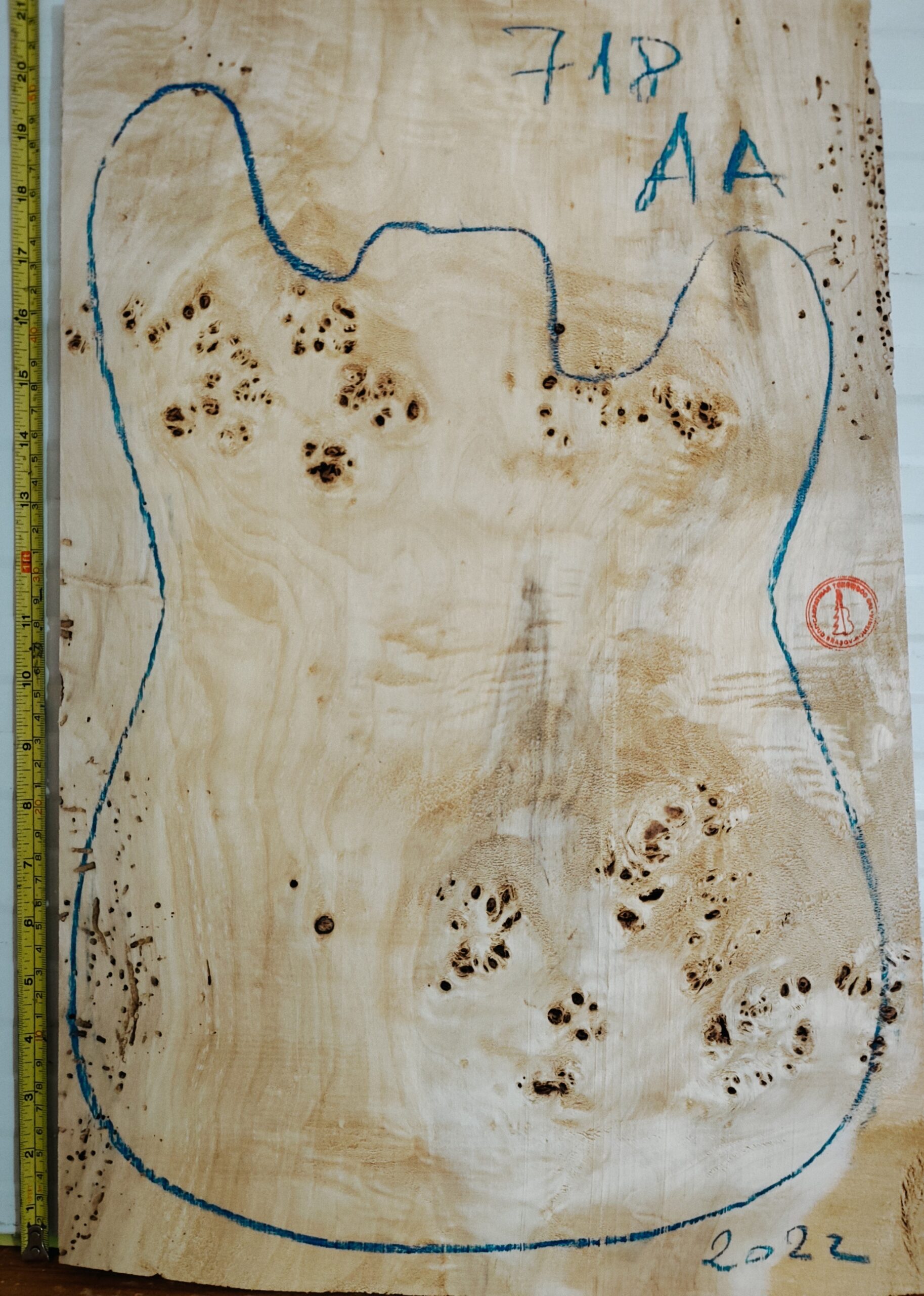 Electric Guitar No.718 Top