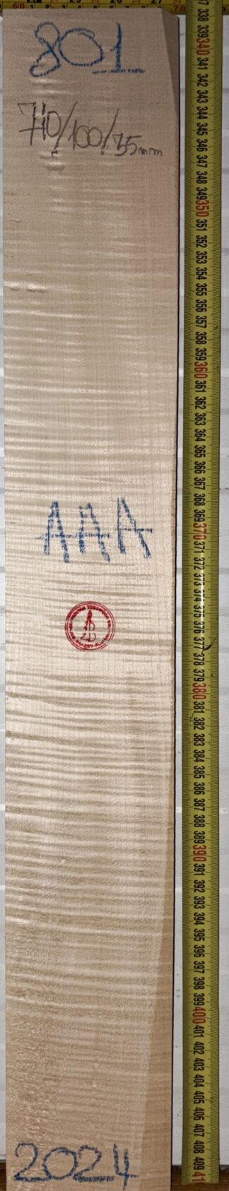 Guitar western No.801 Neck