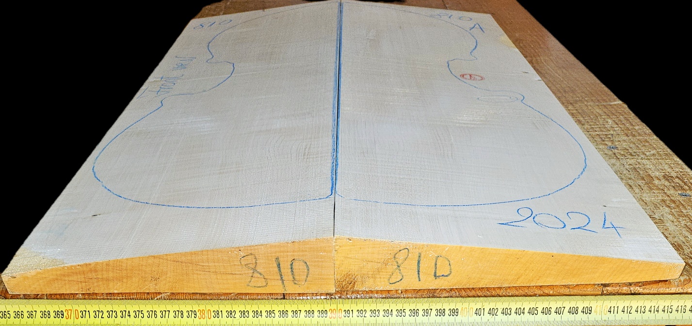 cut from Curly Maple