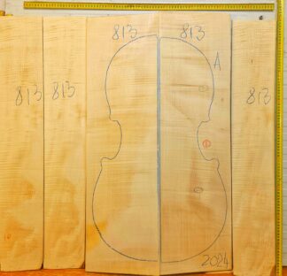 Cello No.813 Back and Sides