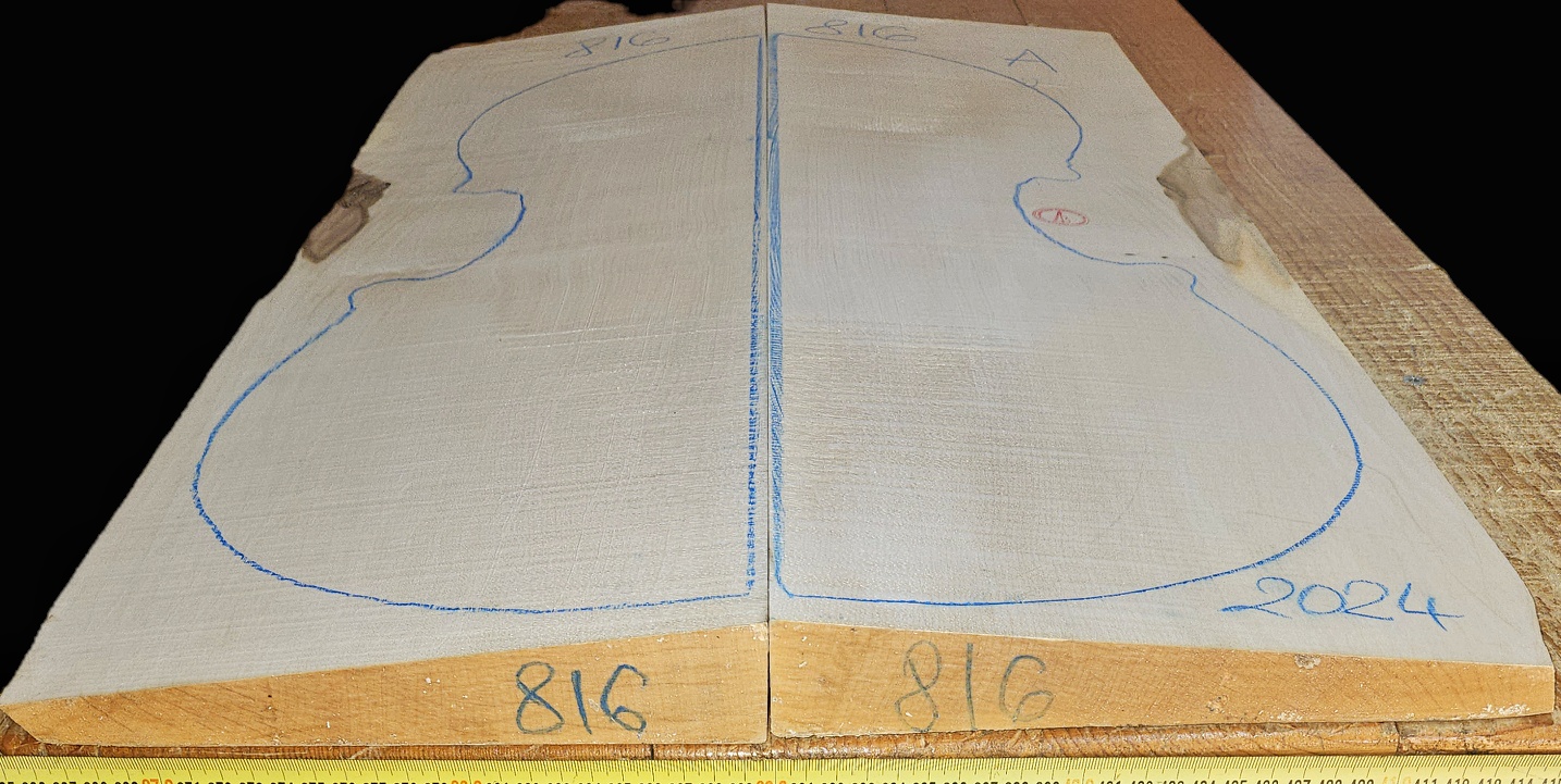 cut from Curly Maple