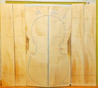 Cello No.816 Back and Sides