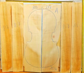 Cello No.817 Back and Sides