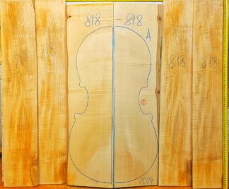 Cello No.818 Back and Sides