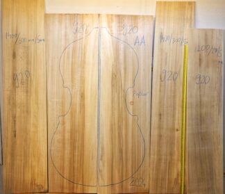 poplar double bass