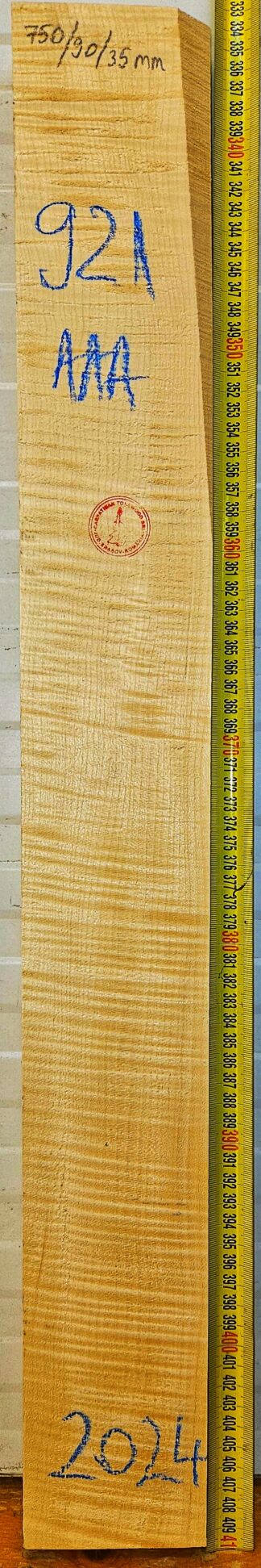 Guitar western No.921 Neck