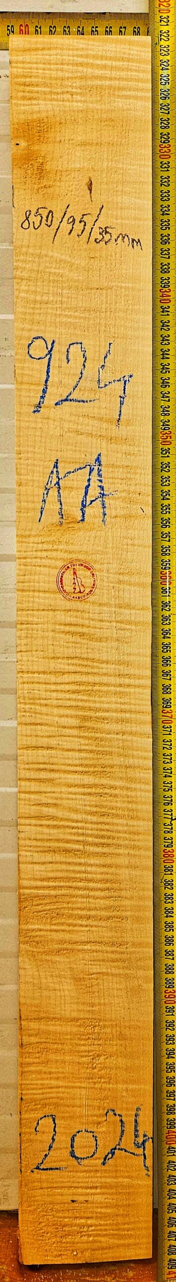 Guitar western No.924 Neck