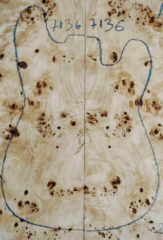 Burl Poplar Top for Electric Guitar