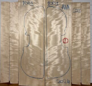 Violin No.1001 Back and Sides