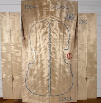 Violin No.1002 Back and Sides