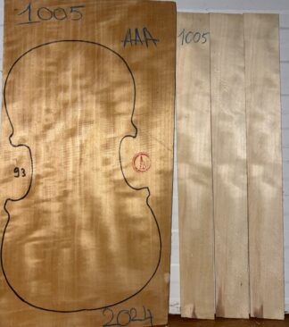 Violin No.1005 Back and Sides