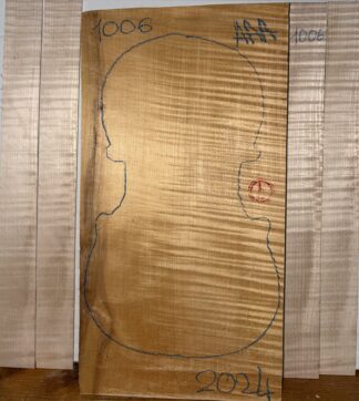 Violin No.1006 One piece Back and Sides