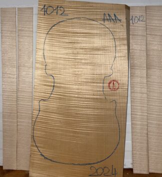 Violin No.1012 One piece Back and Sides