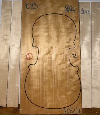 Violin No.1013 Back and Sides