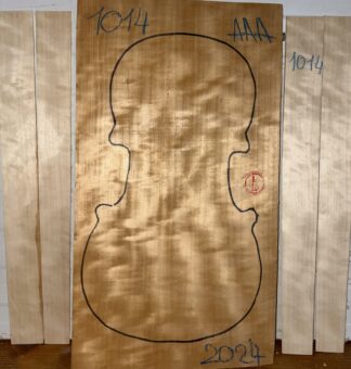 Violin No.1014 Back and Sides