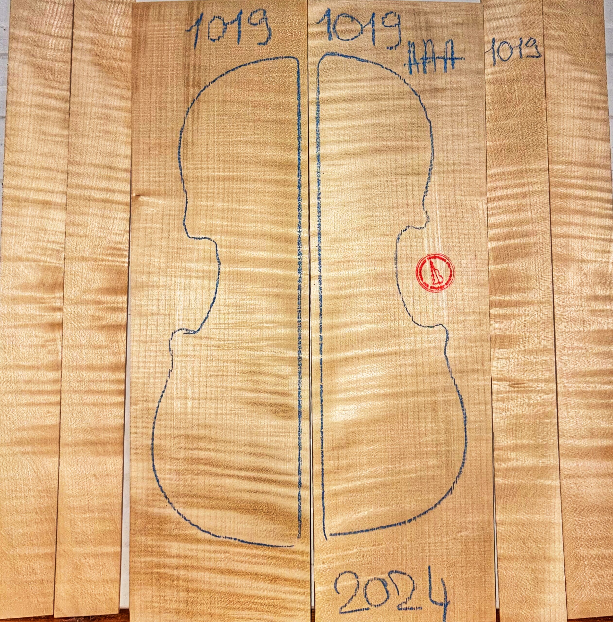 Violin No.1019 Back and Sides