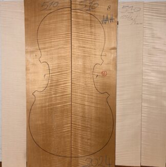 Cello No.510 Back and Sides