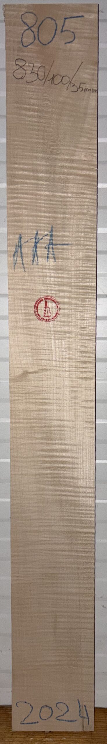 Guitar western No.805 Neck