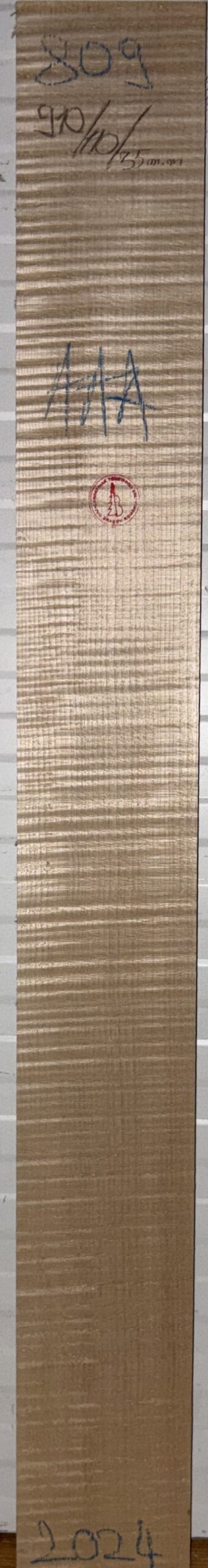 Guitar western No.809 Neck