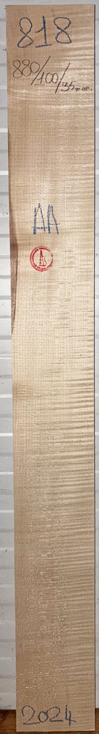 Guitar western No.818 Neck