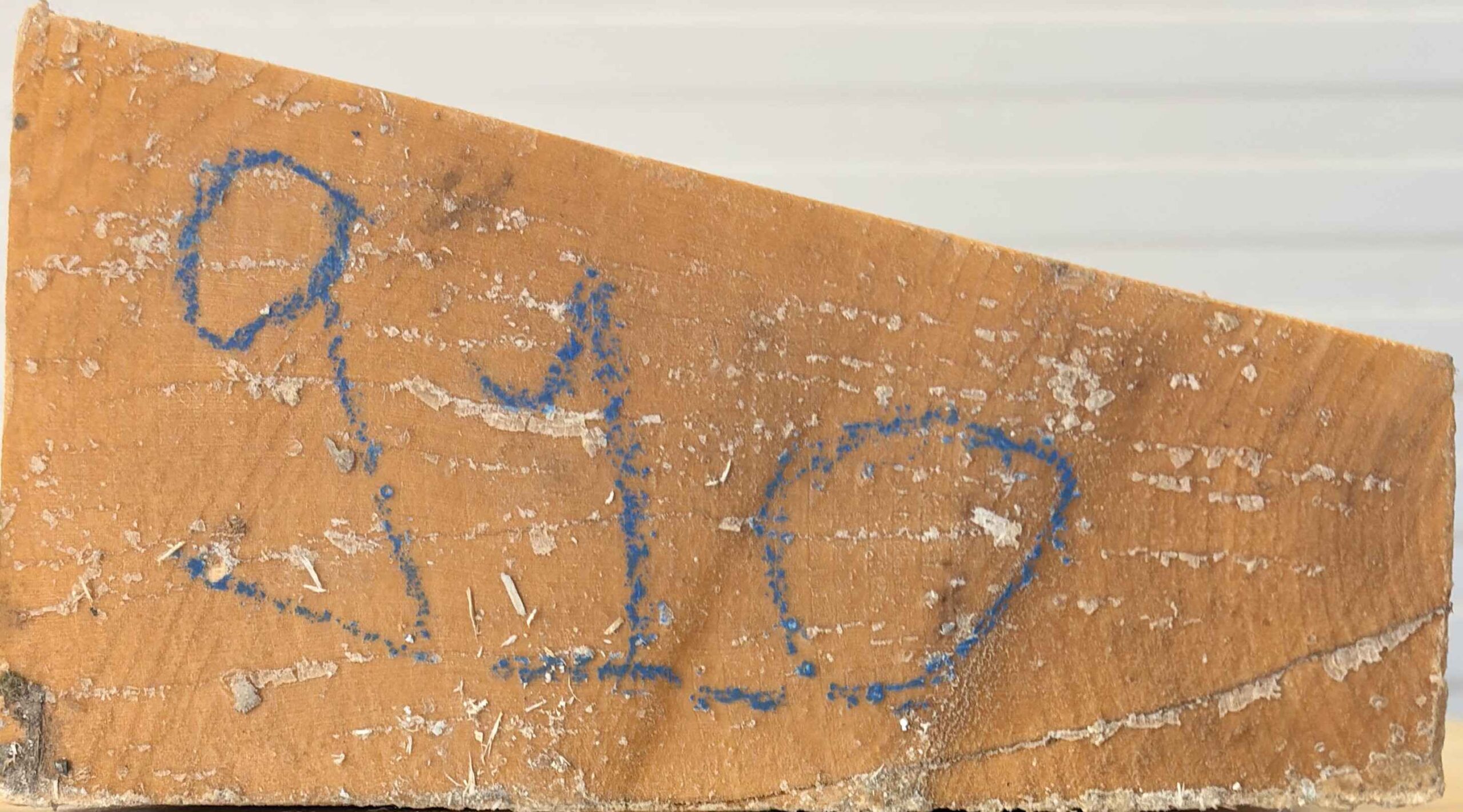 cut from Curly maple