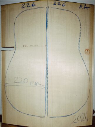 Guitar archtop No.226 Top