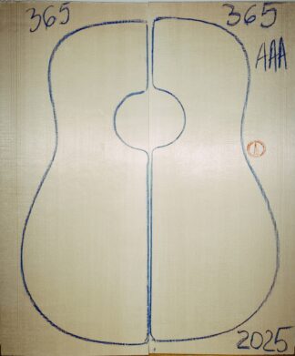 Guitar western No.365 Top