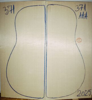 Guitar archtop No.371 Top