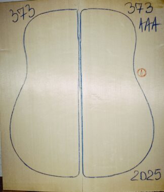 Guitar archtop No.373 Top