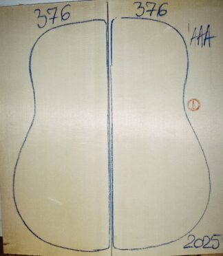 Guitar archtop No.376 Top