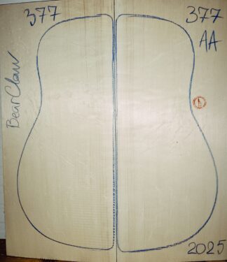 Guitar archtop No.377 Top
