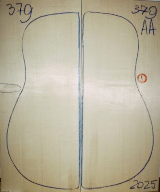 Guitar archtop No.379 Top