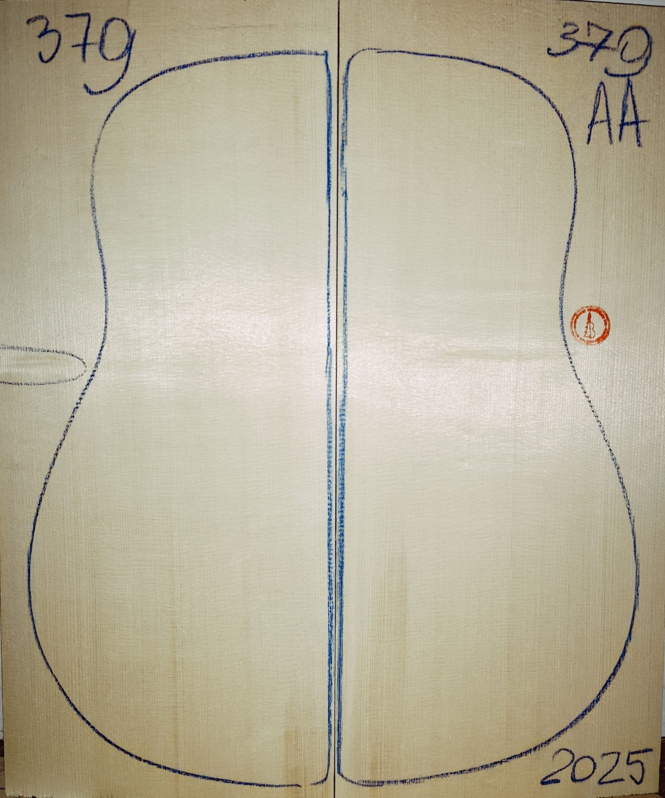 Guitar archtop No.379 Top