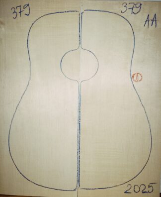 Guitar western No.379 Top