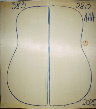 Guitar archtop No.383 Top