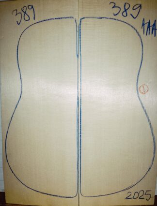 Guitar archtop No.389 Top