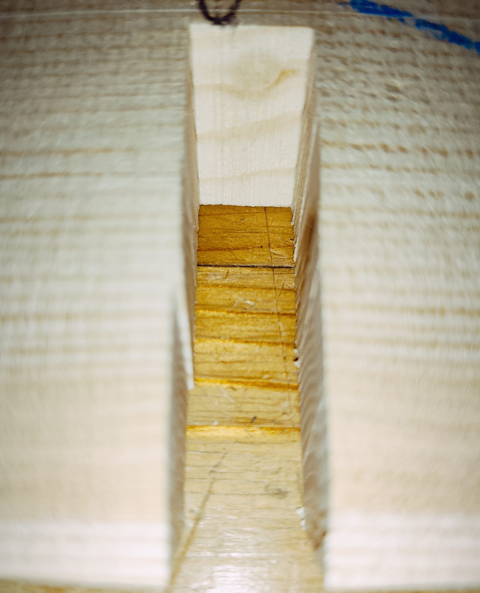 Guitar archtop Spruce Top No. 226, AA Grade - Image 3