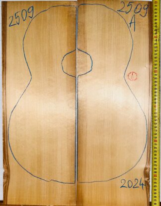 Guitar Classical No.2509 Top