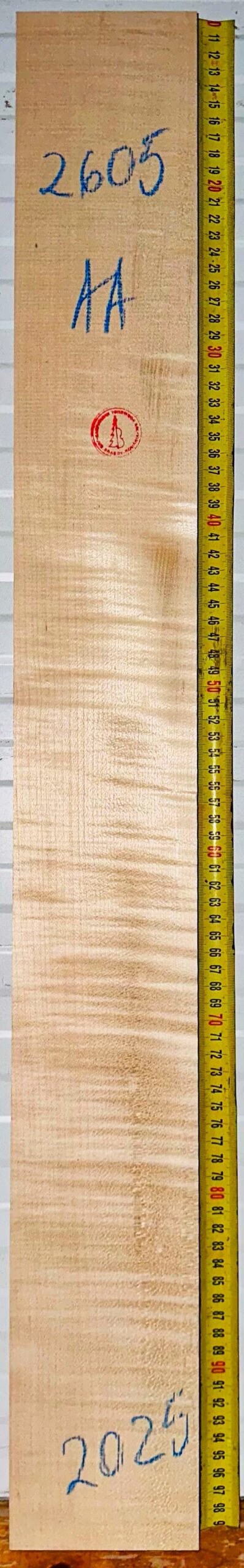 Guitar western No.2605 Neck