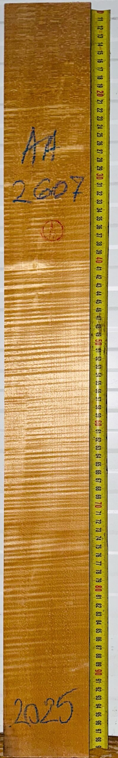 Guitar western No.2607 Neck