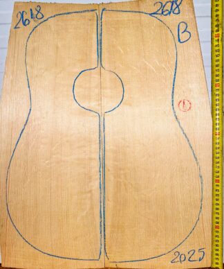 Guitar western No.2618 Top