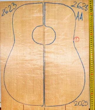 Guitar western No.2623 Top