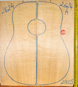 Guitar western No.2624 Top