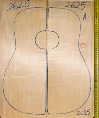 Guitar western No.2625 Top