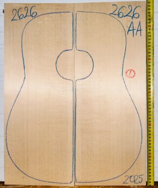 Guitar western No.2626 Top