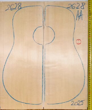 Guitar western No.2628 Top